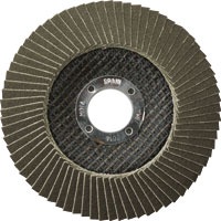 DISCO FLAP CARBURO 115 BUJE 22,2 GR 80